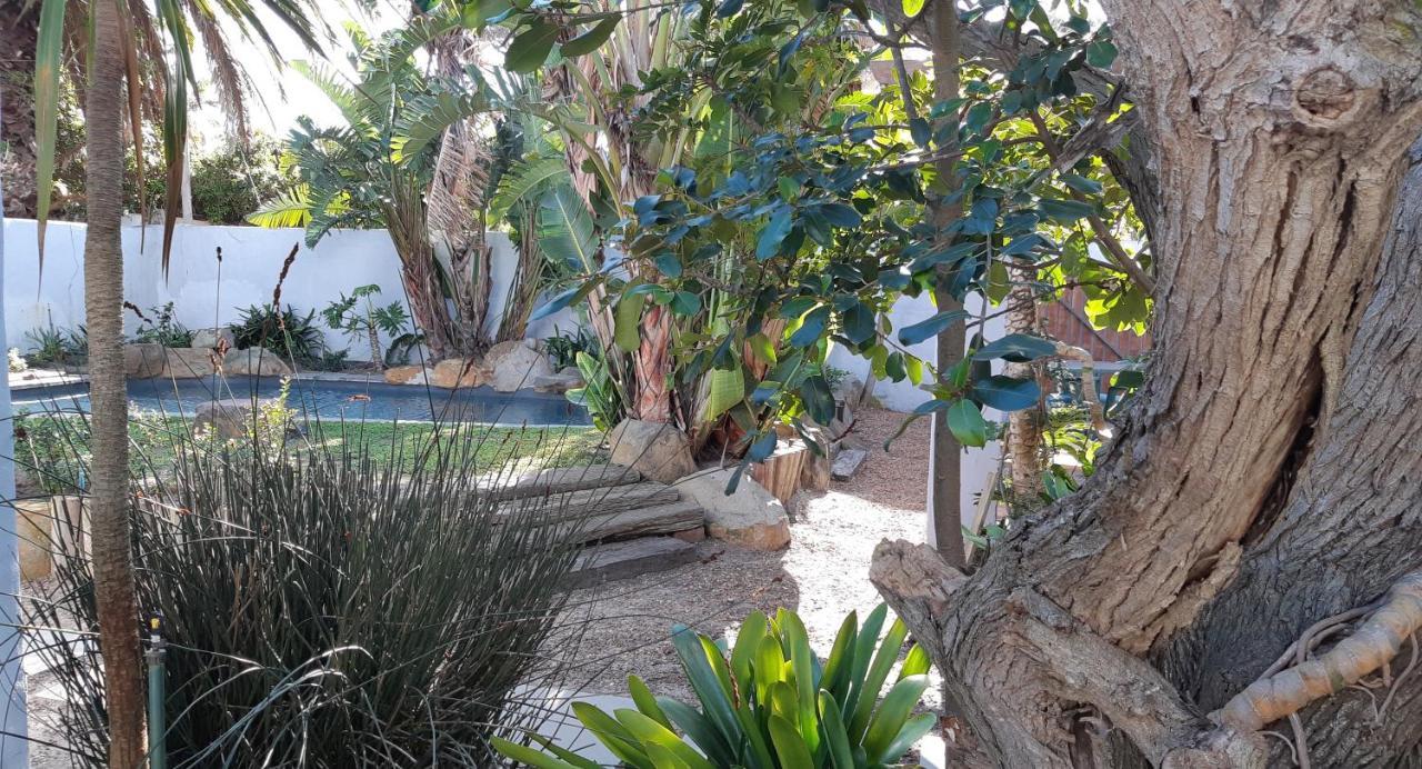 Be My Guest Lodge Bloubergstrand Exterior photo